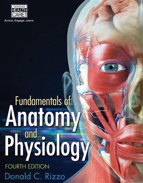 Anatomy and Physiology Fundamentals