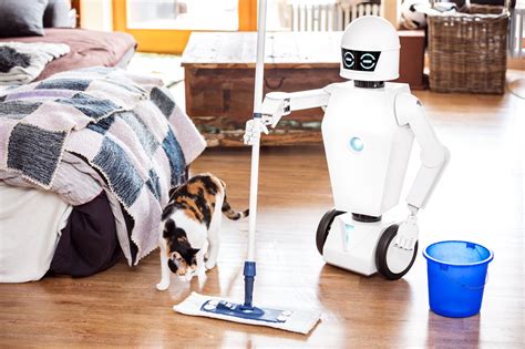 Applications of Robotics in Household Chores