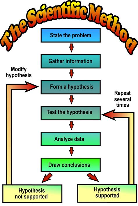 breaking down the steps of the scientific method1714308863