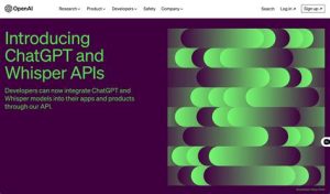 chatgpt api documentation a comprehensive overview1713611000