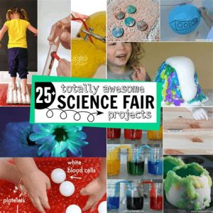 Creative Science Project Ideas for Kids of All Ages