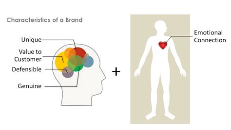 Emotional Connection with Characters