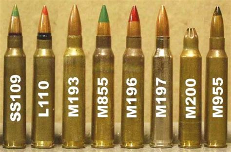 Experimenting with different ammunition types for maximum impact