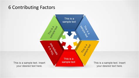 Factors Contributing to Their Popularity