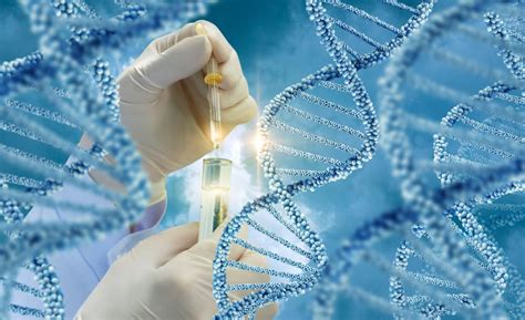 Genetics and DNA Investigations