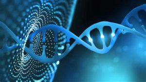 genetics and genomics unlocking the mysteries of dna1714308170