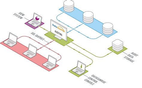 Monitoring and Auditing Data Access