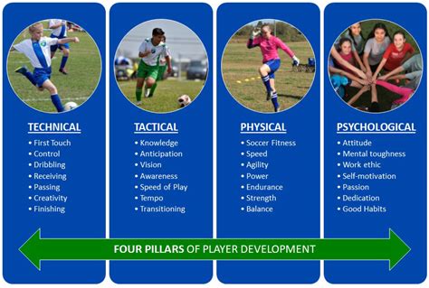 Player Skill Development