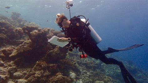 Role of Marine Biologists