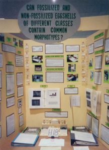 Science Fair Success Tips for Presentation and Display