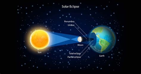 The impact of solar eclipses on Earth