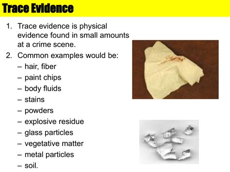 The Significance of Trace Evidence in Crime Scenes