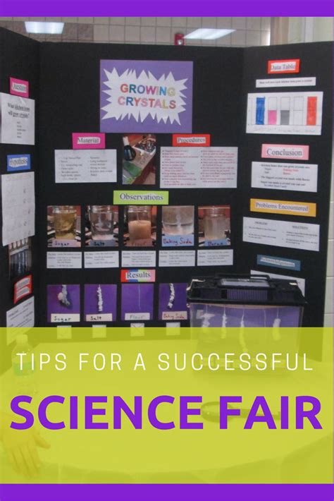 the ultimate guide to planning a successful science fair1714308996