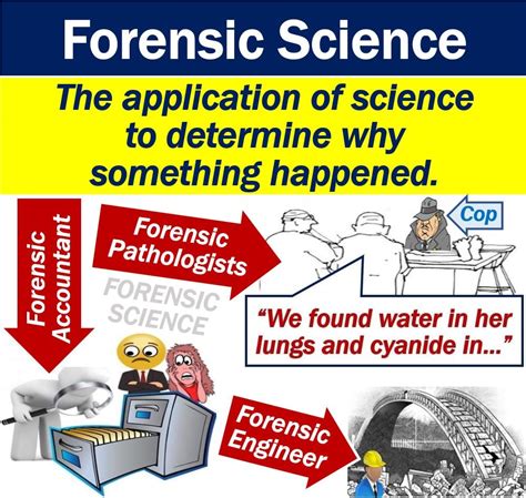 Understanding Forensic Science