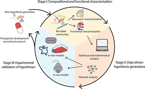 Microbiome Research Advancements