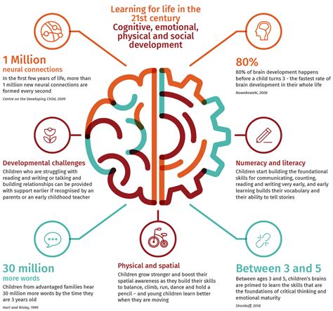 the neuroscience of learning how our brains adapt and evolve1724089254