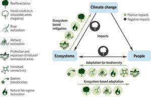 the role of science in climate change mitigation1724089289